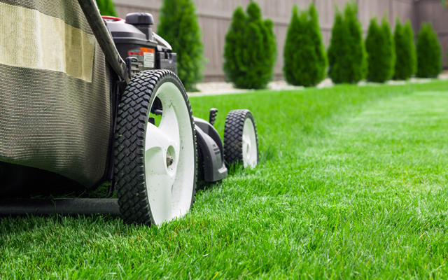 Simple Yard and Lawn Care